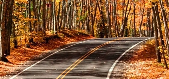 Country road